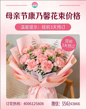 邢台沙河市花店母亲节康乃馨花束