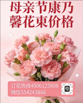邢台沙河市花店母亲节康乃馨花束